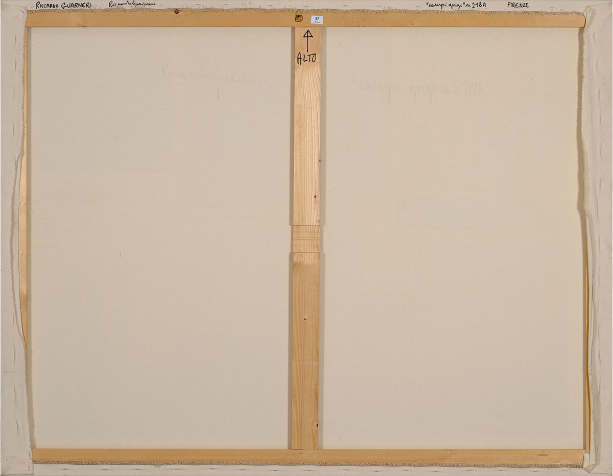 Campi grigi, retro - Riccardo Guarneri